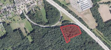Bosgrond Te koop Kwaadmechelen